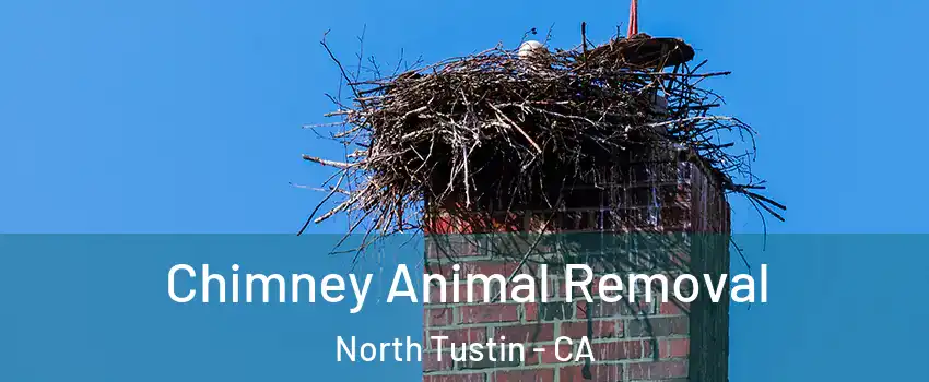  Chimney Animal Removal North Tustin - CA
