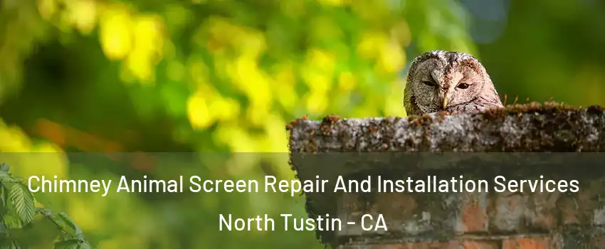  Chimney Animal Screen Repair And Installation Services North Tustin - CA