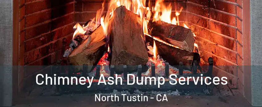 Chimney Ash Dump Services North Tustin - CA