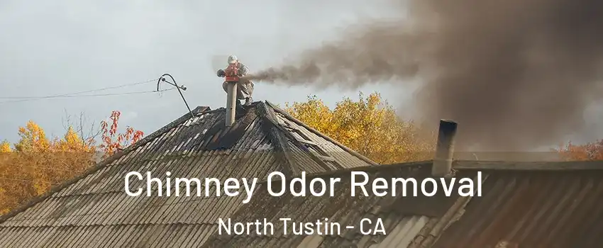 Chimney Odor Removal North Tustin - CA