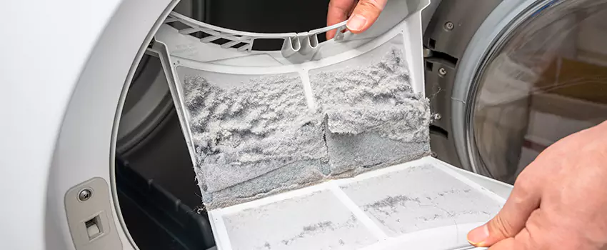 Best Dryer Lint Removal Company in North Tustin, California