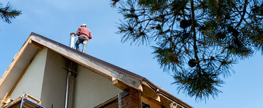 Birds Removal Contractors from Chimney in North Tustin, CA
