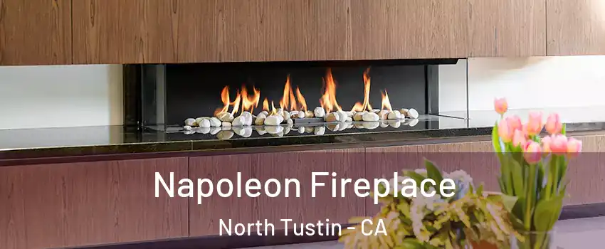  Napoleon Fireplace North Tustin - CA